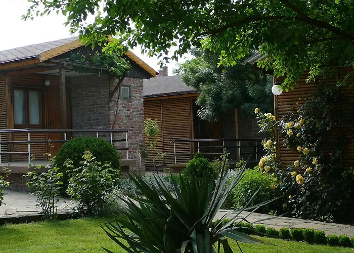 Zora - 2* אובזור