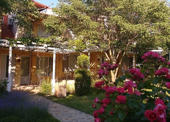 Zora - אתר קמפינג אובזור