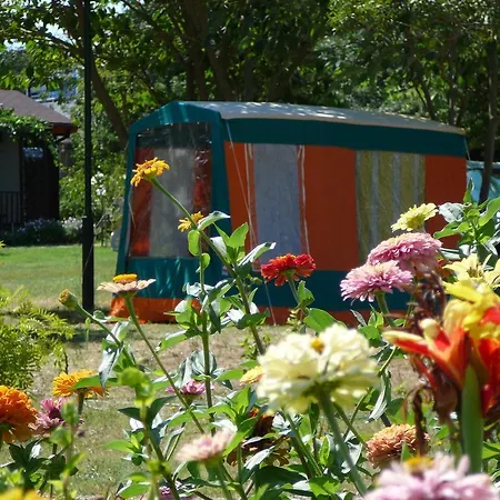 Zora - 2* אובזור