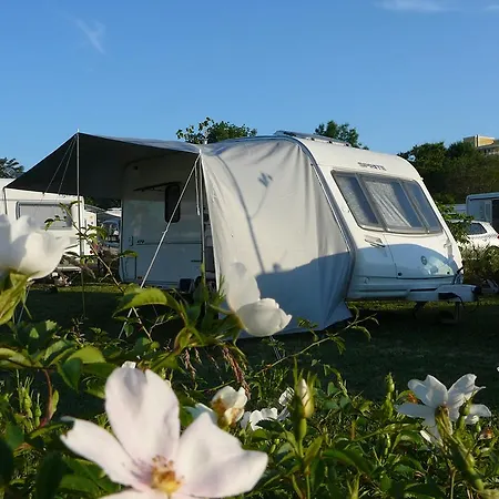 Campsite Zora Camping -