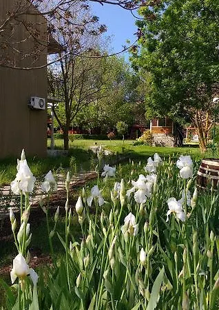 Campingplads Zora - 2*