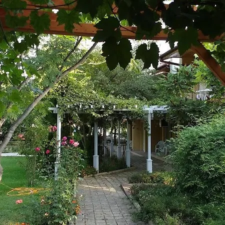 Zora Camping -
