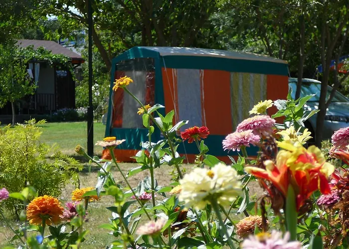 Zora - 2* 奥布佐尔