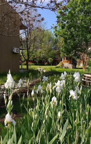 Campingplads Zora - 2*